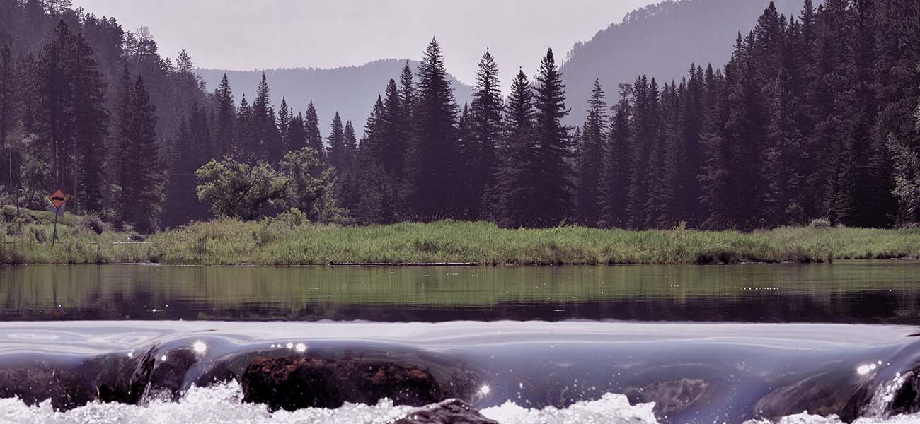 Keeping Our Environmental Impact Top of Mind