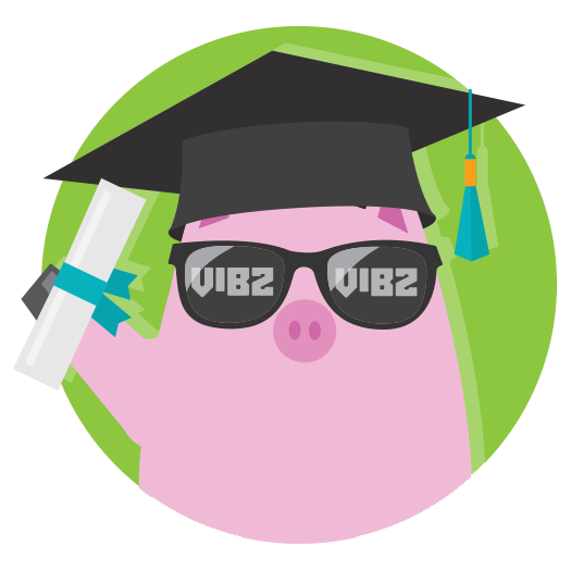2023 Vibz Scholarship