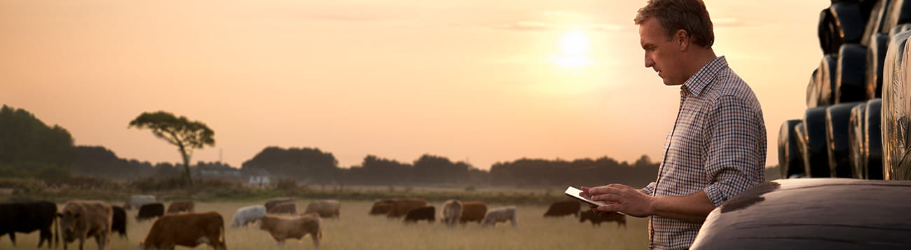 Farm Operating Loans South Dakota Black Hills Fcu
